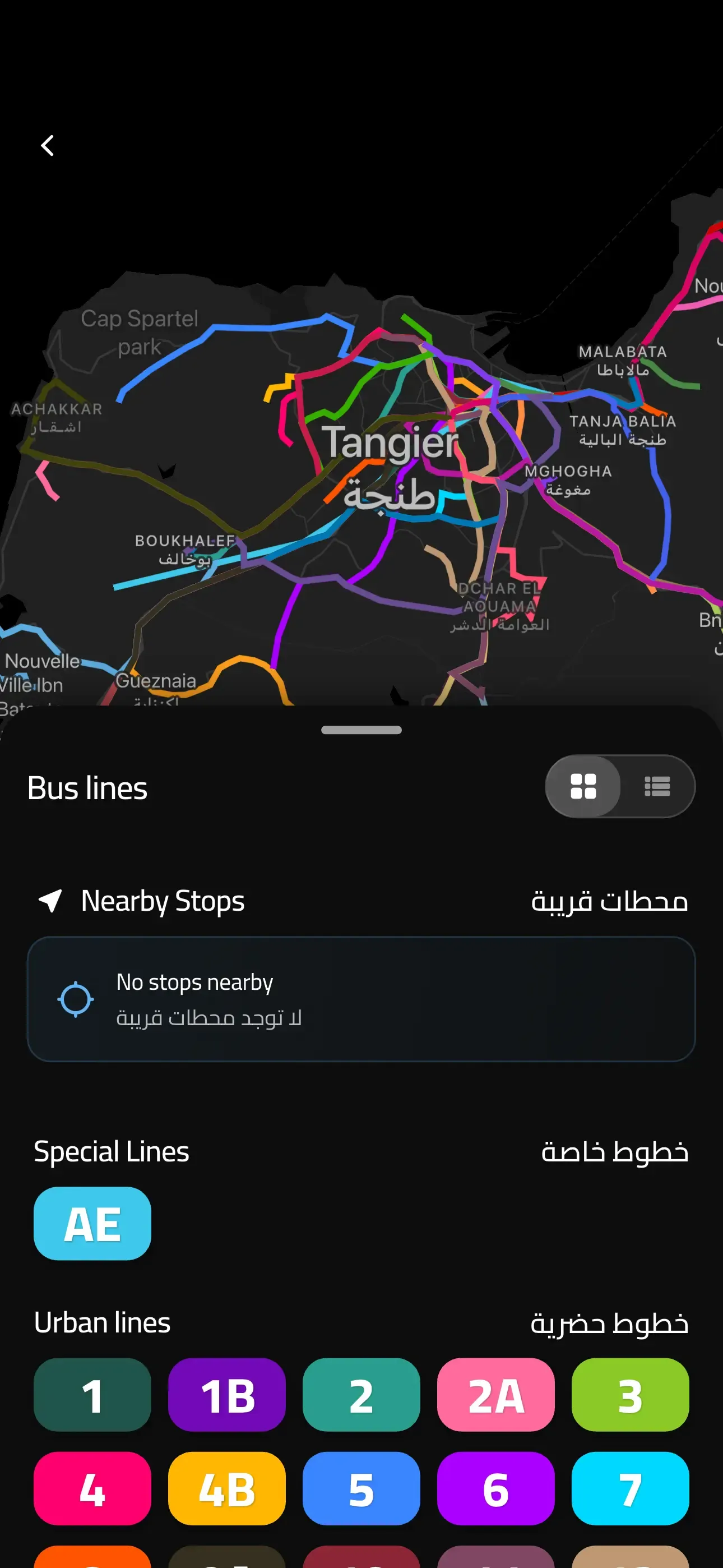 Bus Lines Screenshot 1