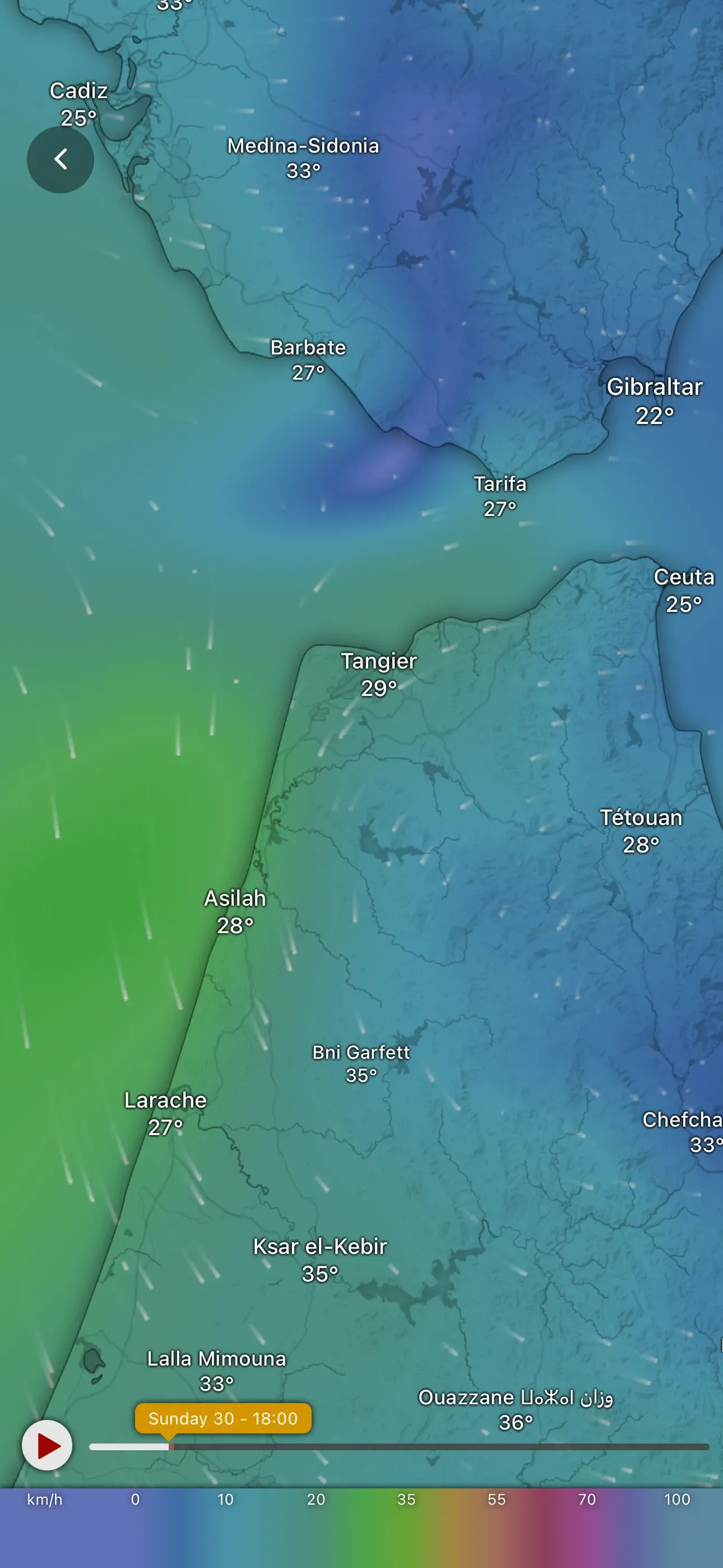 Wind Map Screenshot 1